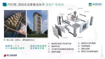 徐國(guó)軍PSC鋼結(jié)構(gòu)集成建筑成套技術(shù)與工程應(yīng)用